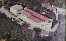 La Nursery De Mas Guillo