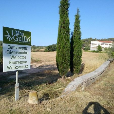 La Nursery De Mas Guillo Sant Quintí de Mediona Exterior foto