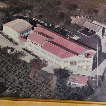 La Nursery De Mas Guillo Sant Quintí de Mediona Exterior foto