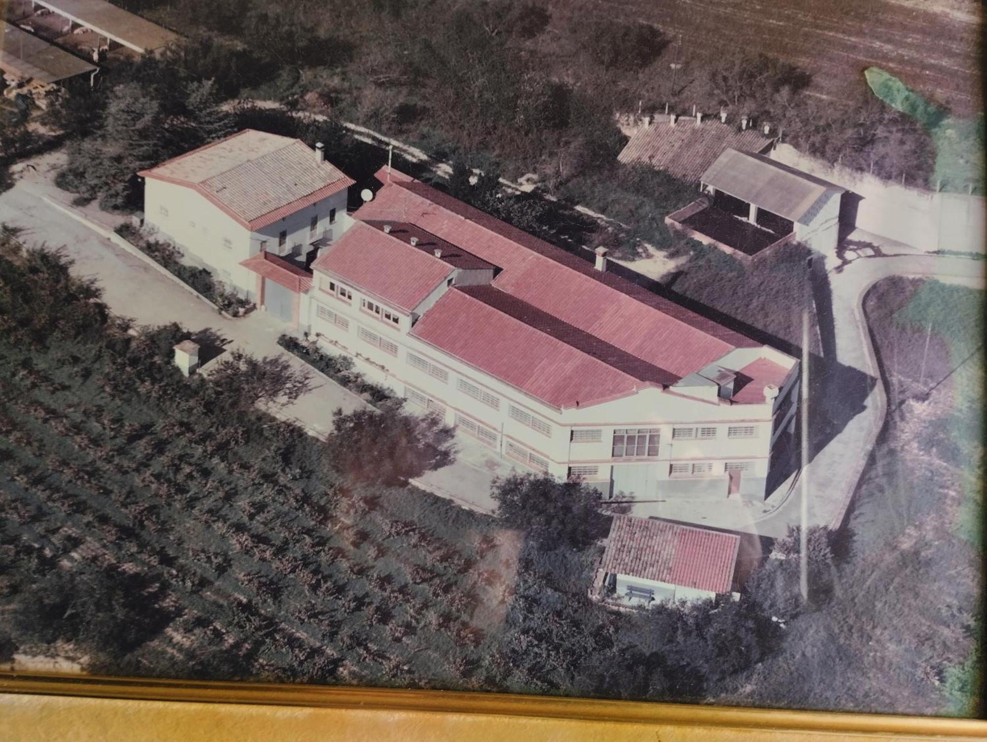 La Nursery De Mas Guillo Sant Quintí de Mediona Exterior foto